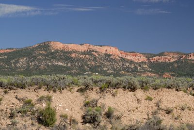 Red Rock Canyon0008.jpg