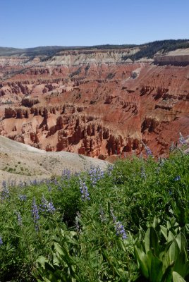 Cedar Breaks NM0095.jpg