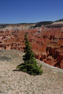 Cedar Breaks NM0097.jpg