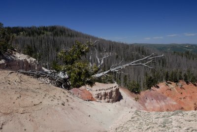 Cedar Breaks NM0103.jpg