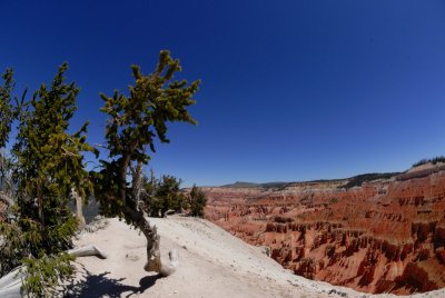 Cedar Breaks NM0114.jpg