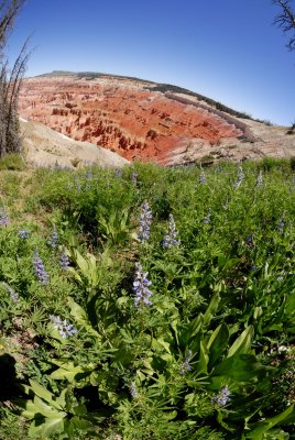 Cedar Breaks NM0116.jpg