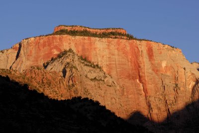 Zion NP