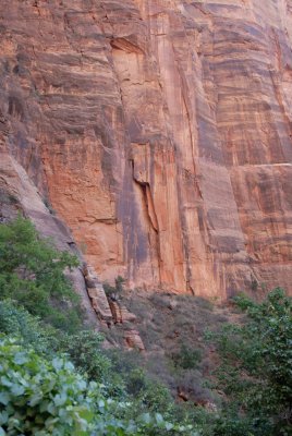 Zion NP0093.jpg