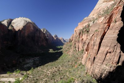 Zion NP0094.jpg
