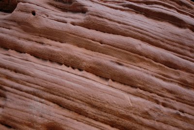 Zion NP0098.jpg