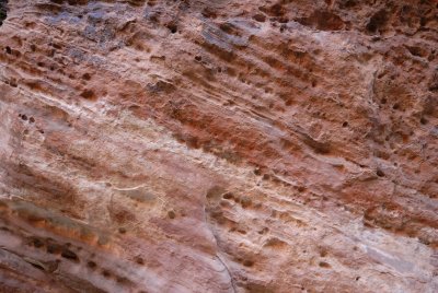 Zion NP0100.jpg