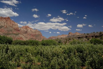 Zion NP0138.jpg