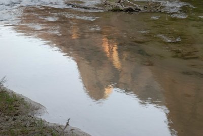 Zion NP0143.jpg