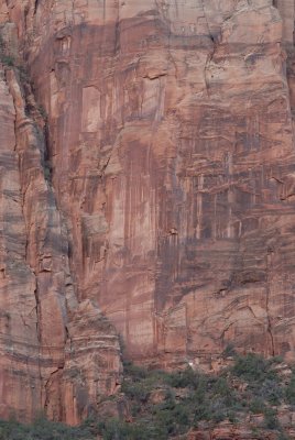 Zion NP0145.jpg