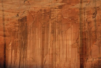 Zion NP0209.jpg