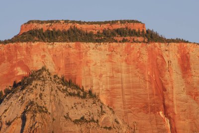 Zion NP0212.jpg