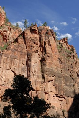 Zion NP0221.jpg