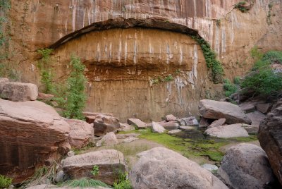 Zion NP0222.jpg