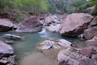 Zion NP0231.jpg