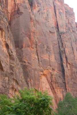 Zion NP0250.jpg