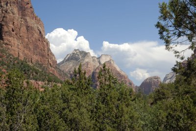 Zion NP0259.jpg