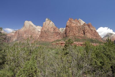 Zion NP0261.jpg