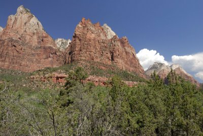 Zion NP0262.jpg