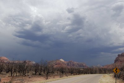 Zion NP0266.jpg