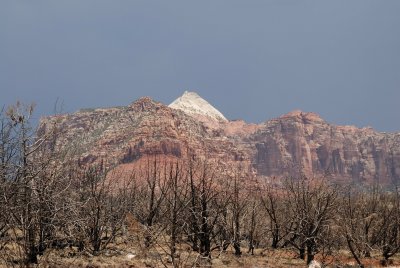 Zion NP0267.jpg