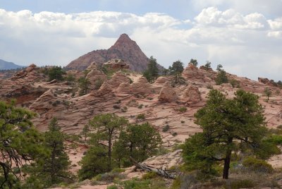Zion NP0301.jpg