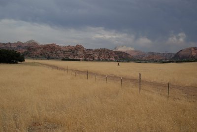 Zion NP0303.jpg