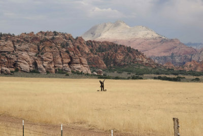 Zion NP0304.jpg