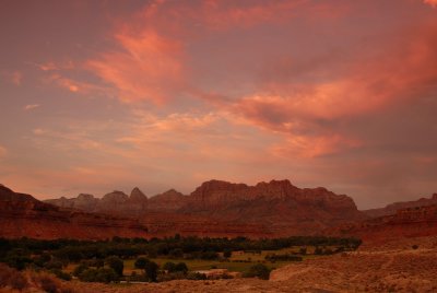 Zion NP0320.jpg