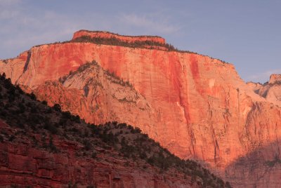 Zion NP0356.jpg