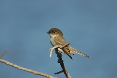DSC_0912.JPG