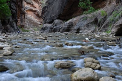 Zion NP0376.jpg