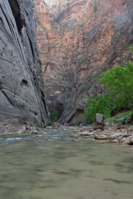 Zion NP0382.jpg