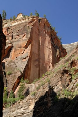 Zion NP0383.jpg