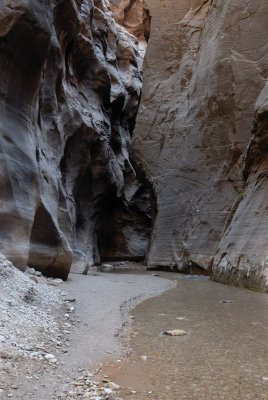 Zion NP0404.jpg