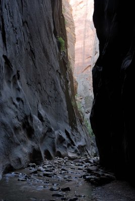 Zion NP0405.jpg