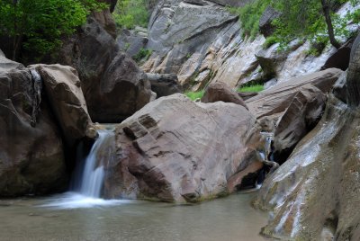 Zion NP0407.jpg