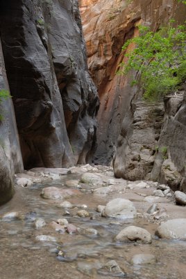 Zion NP0410.jpg