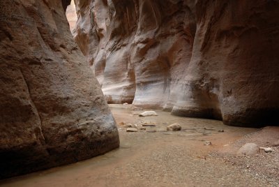 Zion NP0412.jpg