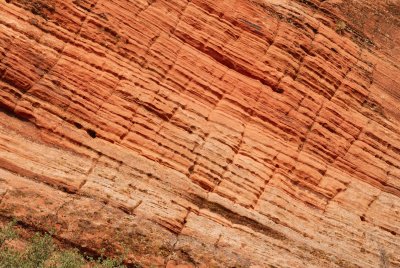 Zion NP0427.jpg