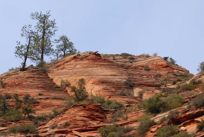 Zion NP0428.jpg