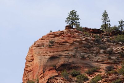 Zion NP0430.jpg