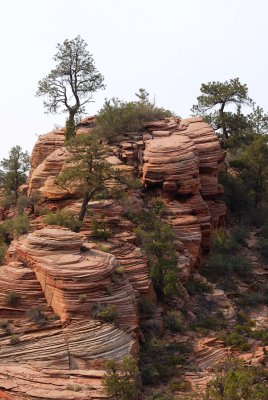 Zion NP0431.jpg