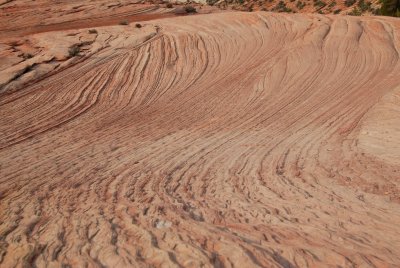 Zion NP0444.jpg