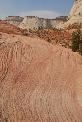 Zion NP0448.jpg