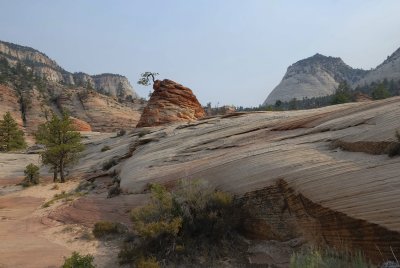 Zion NP0453.jpg