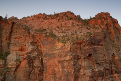 Zion NP0516.jpg