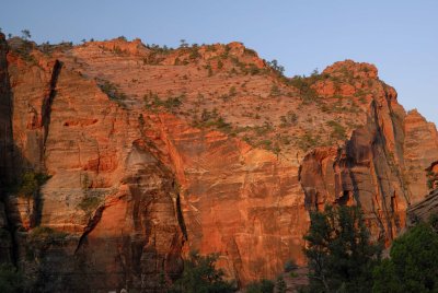 Zion NP0523.jpg