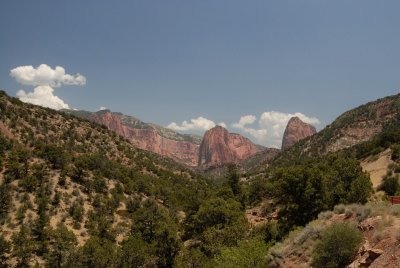 Zion NP0577.jpg