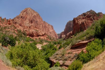 Zion NP0595.jpg